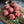Load image into Gallery viewer, Ground Beef 1lb Portion
